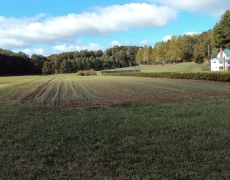 winter rye cover crop