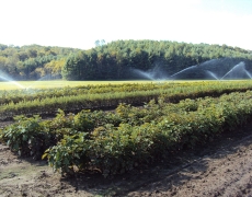 Fall irrigation